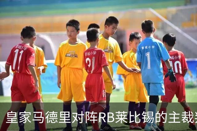 皇家马德里对阵RB莱比锡的主裁判数据揭秘